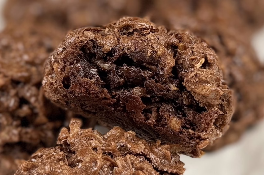 Chocolate Coconut Macaroons